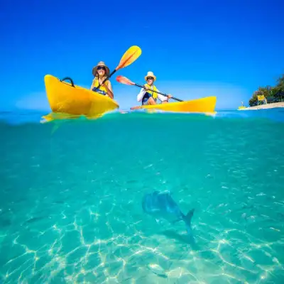 Kayak